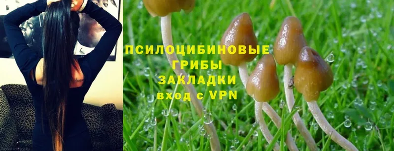 Псилоцибиновые грибы Magic Shrooms  Туймазы 